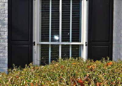 Outdoor shutters of Harmony Raised Panel Shutters behind a bush.